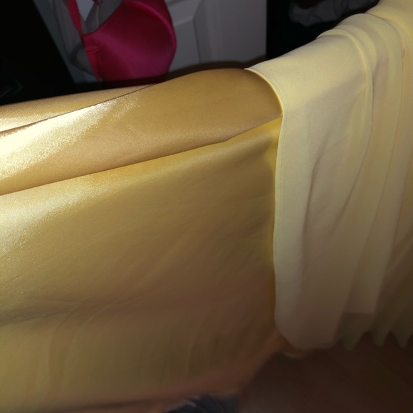 Prom Dress - Picture 5 of 6